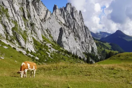 Abländschen und Umgebung