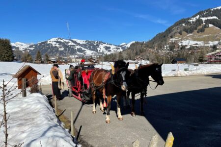 Kutschefahrt-3-komprimiert